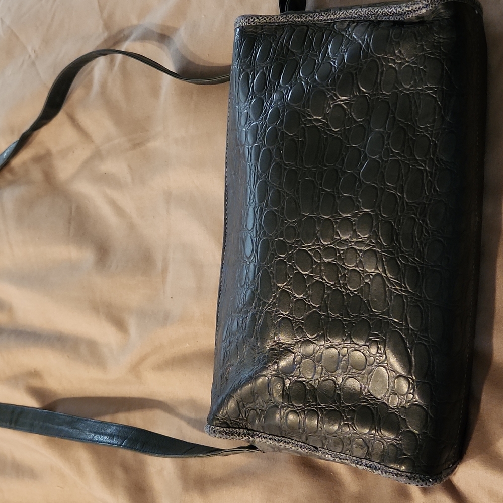 Carlos Falchi crossbody